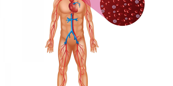 Zdrowe krążenie: jak usprawnić przepływ krwi w kończynach?